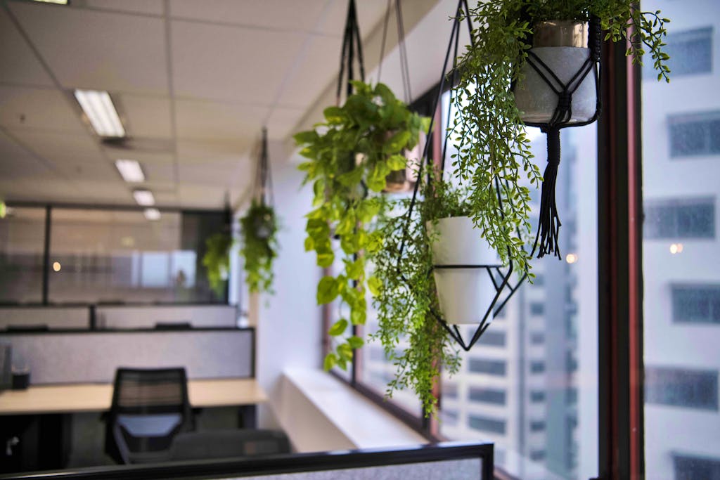 Modern Office Fitout Brisbane City