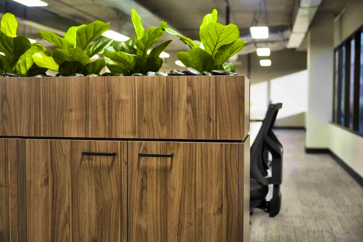 Creating Quiet Zones - Office Storage - Wickham_Tenancy